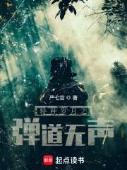特种岁月之弹道无声好看吗